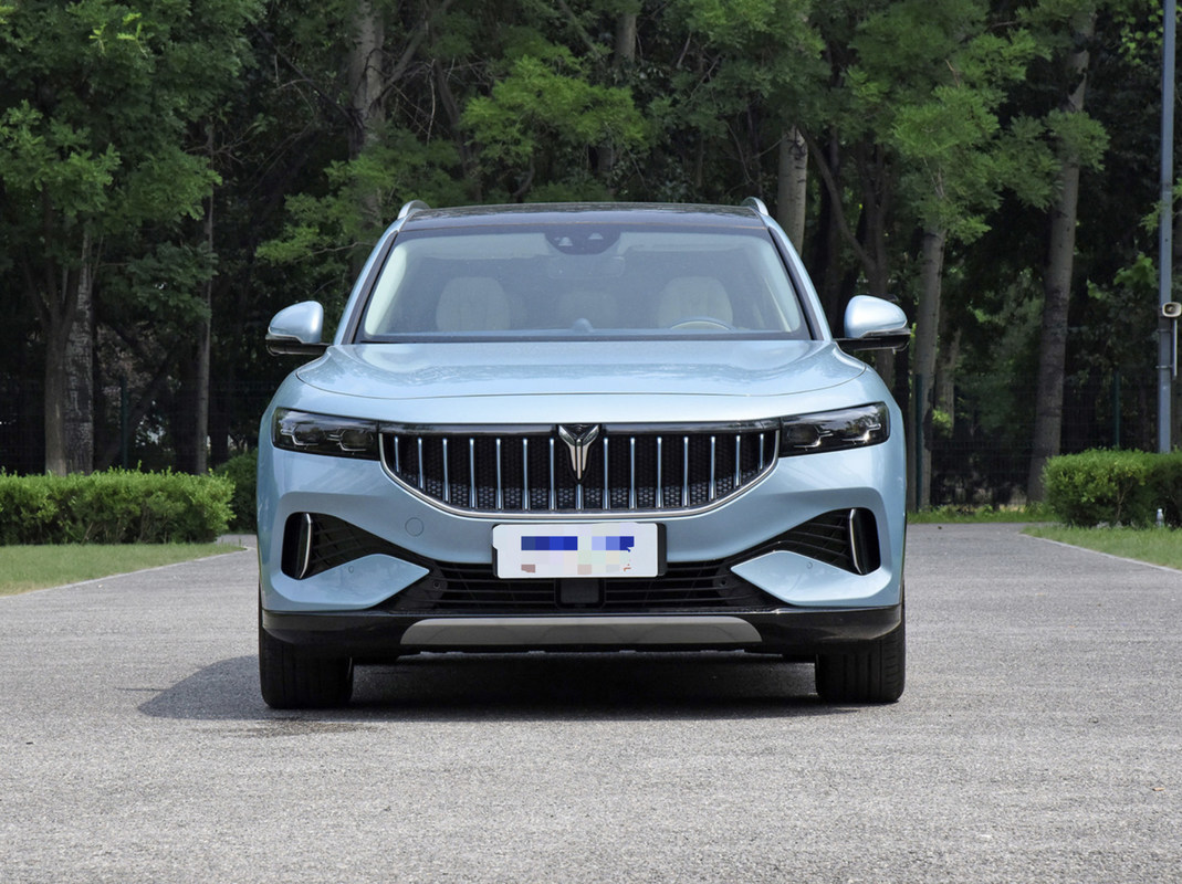 Pure Electric SUV VOYAH Electric Car VOYAH Free 2022 Ultra Long Battery Life